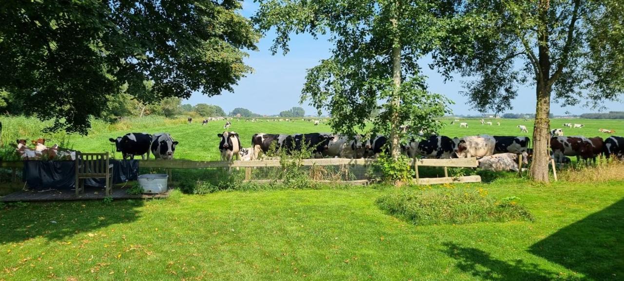 Slapen Bij Bonanza Villa Bantega Eksteriør billede