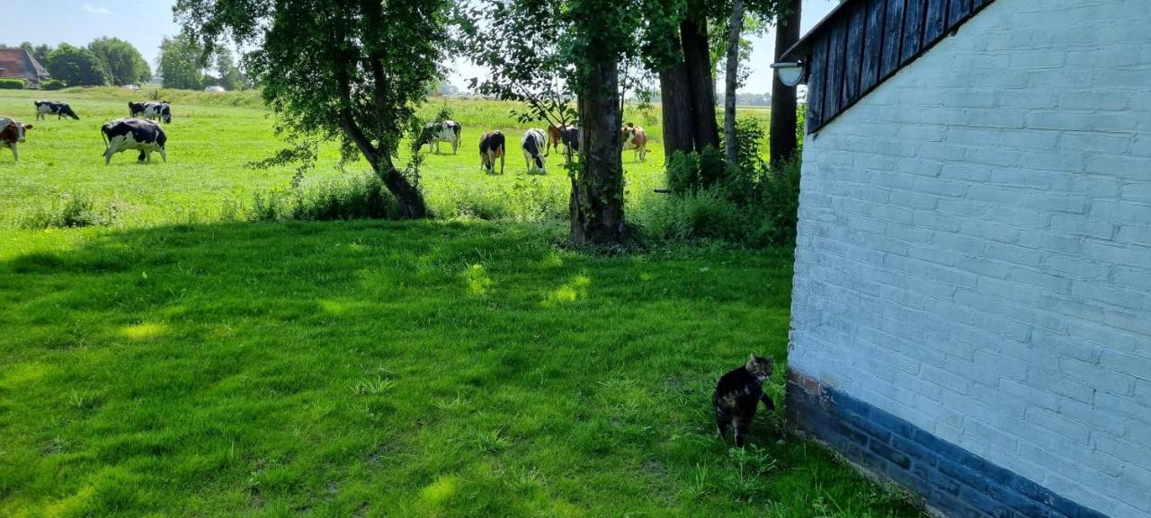 Slapen Bij Bonanza Villa Bantega Eksteriør billede