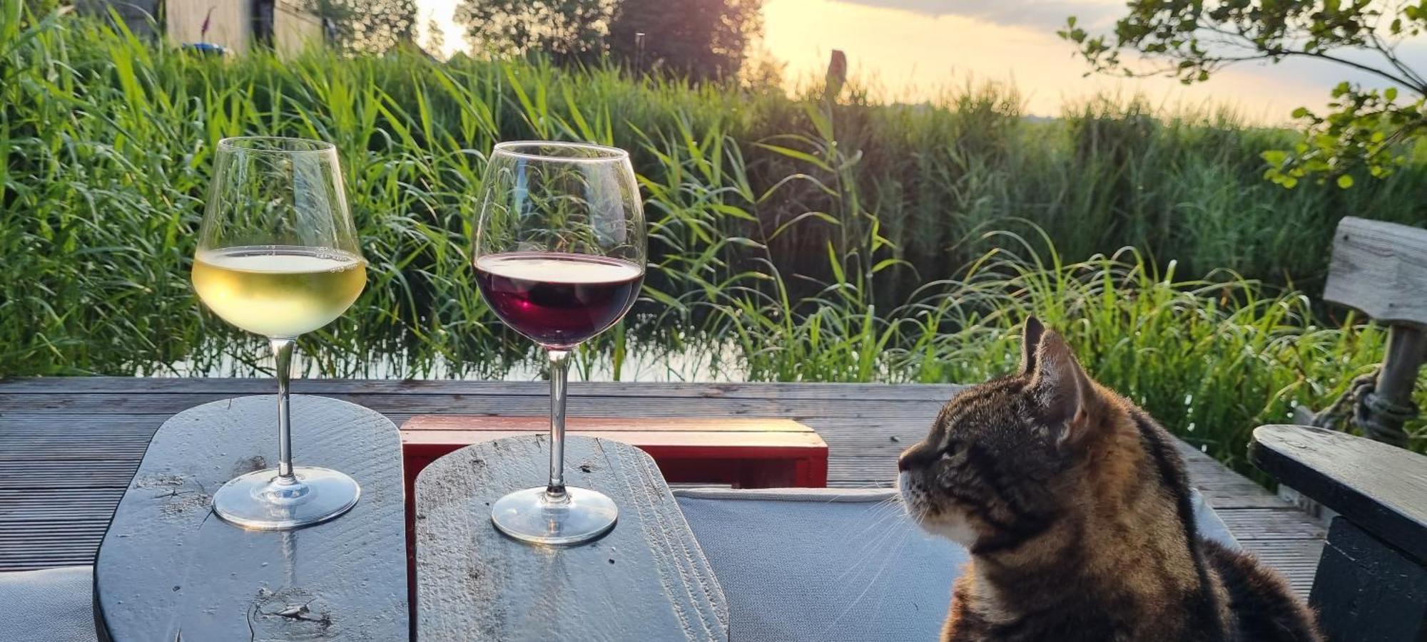 Slapen Bij Bonanza Villa Bantega Eksteriør billede